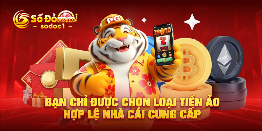 Bạn chỉ được chọn loại tiền ảo hợp lệ nhà cái cung cấp