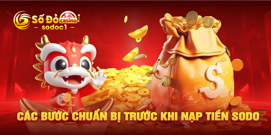 Các bước chuẩn bị trước khi nạp tiền SODO