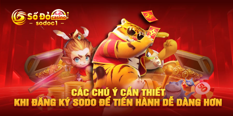Các chú ý cần thiết khi đăng ký SODO để tiến hành dễ dàng hơn