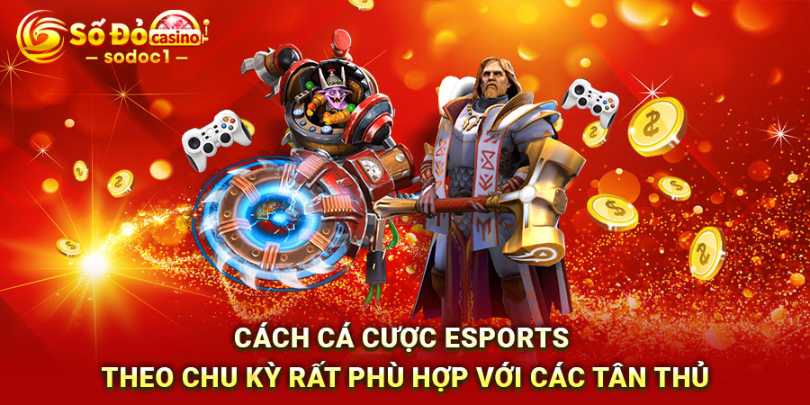 Cách cá cược Esports theo chu kỳ rất phù hợp với các tân thủ