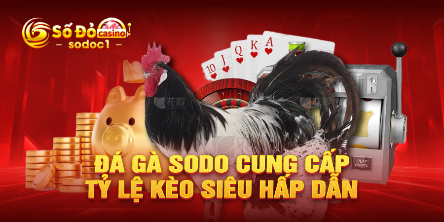 Đá gà SODO cung cấp tỷ lệ kèo siêu hấp dẫn