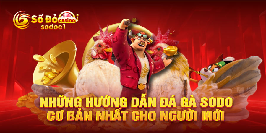 Những hướng dẫn đá gà SODO cơ bản nhất cho người mới