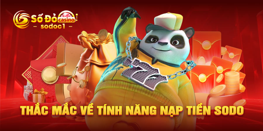Thắc mắc về tính năng nạp tiền SODO