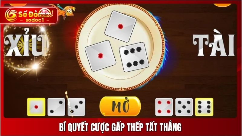 Bí quyết cược gấp thếp tất thắng