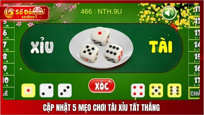 Cập nhật 5 mẹo chơi Tài Xỉu tất thắng